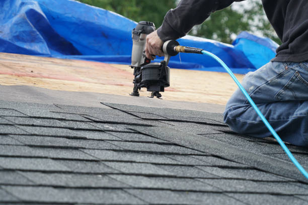 Best Storm Damage Roof Repair  in University City, MO