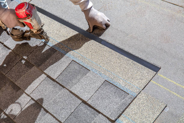 Best Storm Damage Roof Repair  in University City, MO